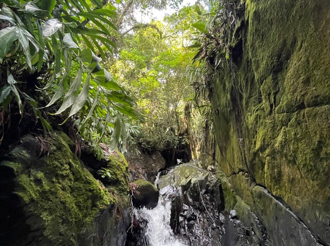 Cachoeira Indiana Jones景点图片