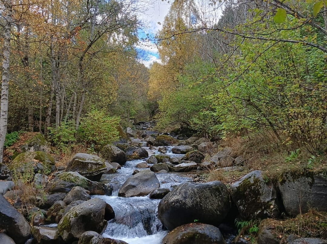 Hostal Escuils主图