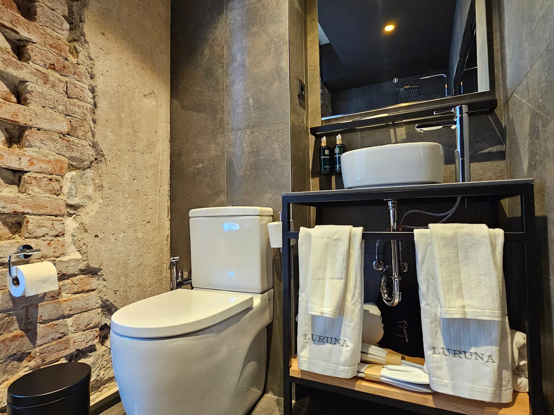 Hotel Luruna Palacio Larrinaga主图