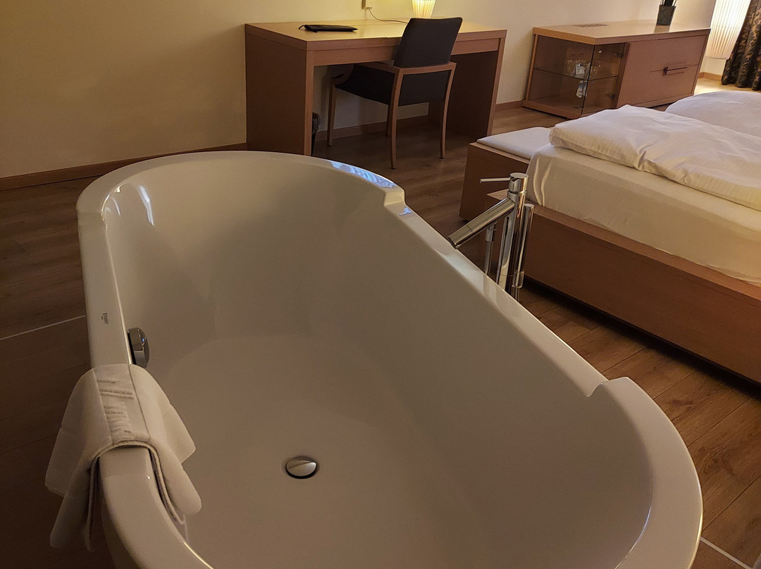 Hotel Lanerhof主图