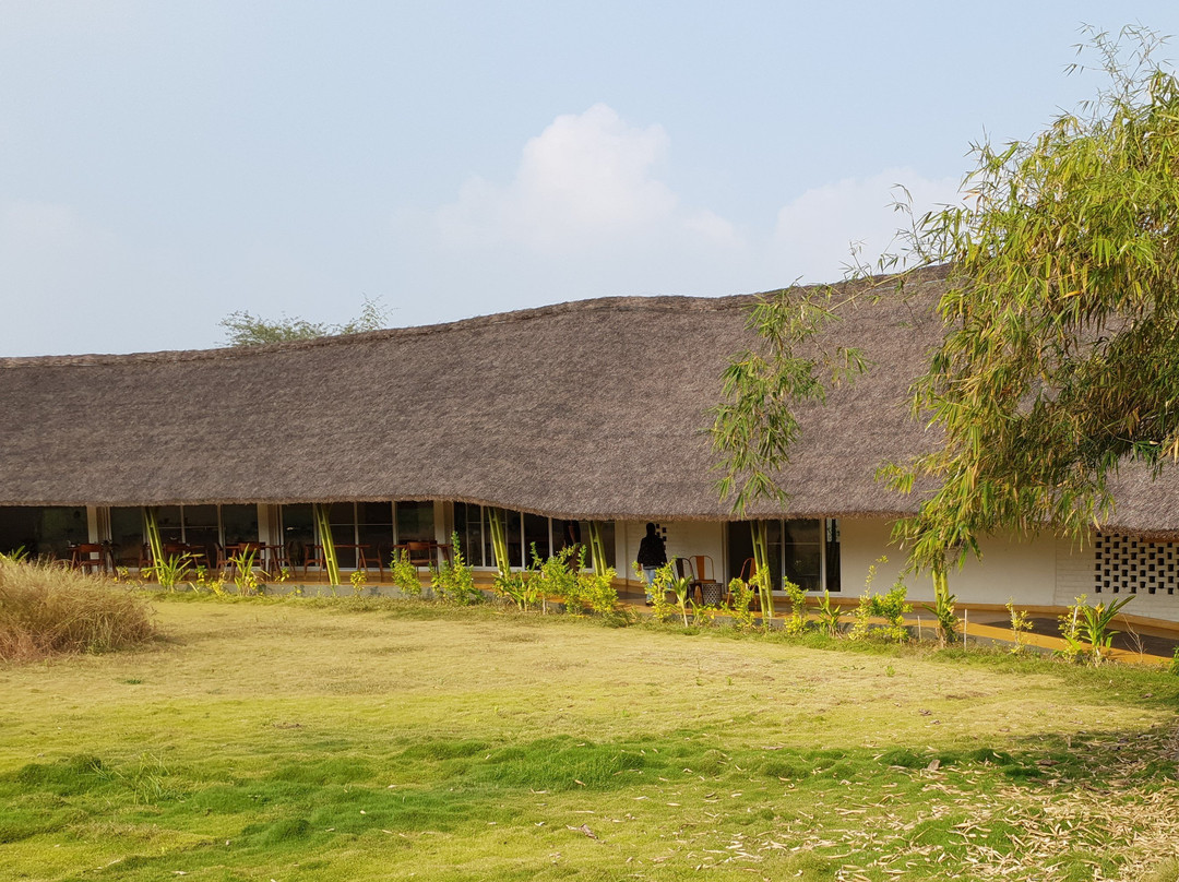 Red Earth Tadoba主图