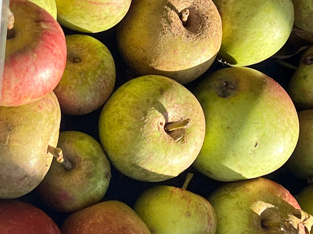 SHENLEY PARK-Shenley必去景点