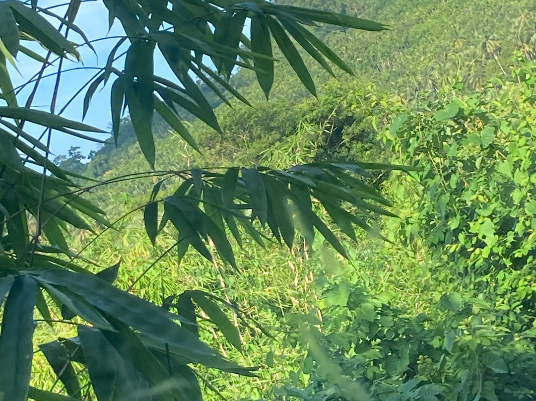 Matsya Island Retreat主图