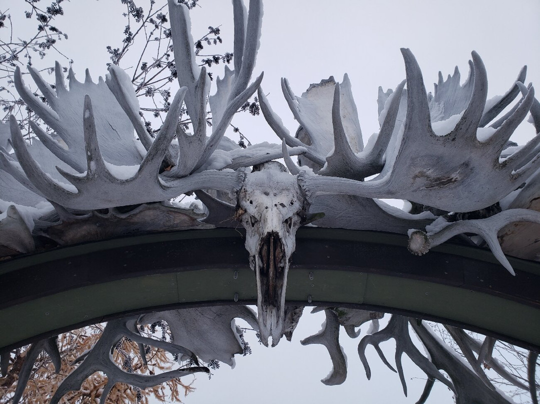 Antler Arch-费尔班克斯必去景点