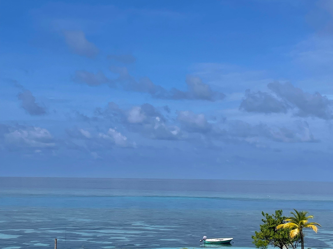 One The Island主图