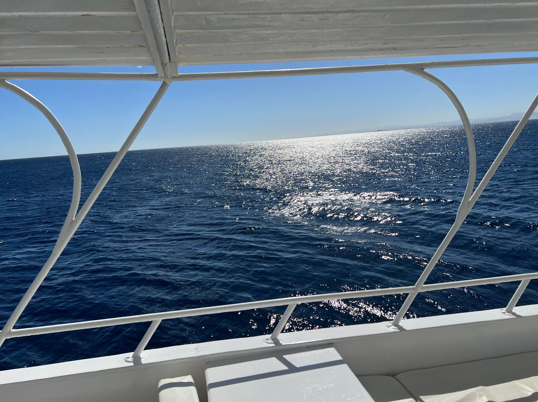 Shams Diving Center-Safaga必去景点