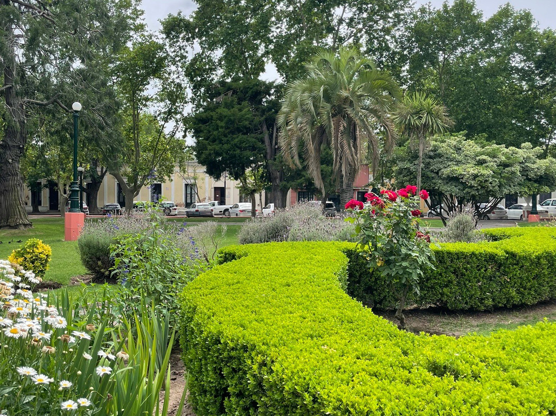 Areco Tradicion景点图片