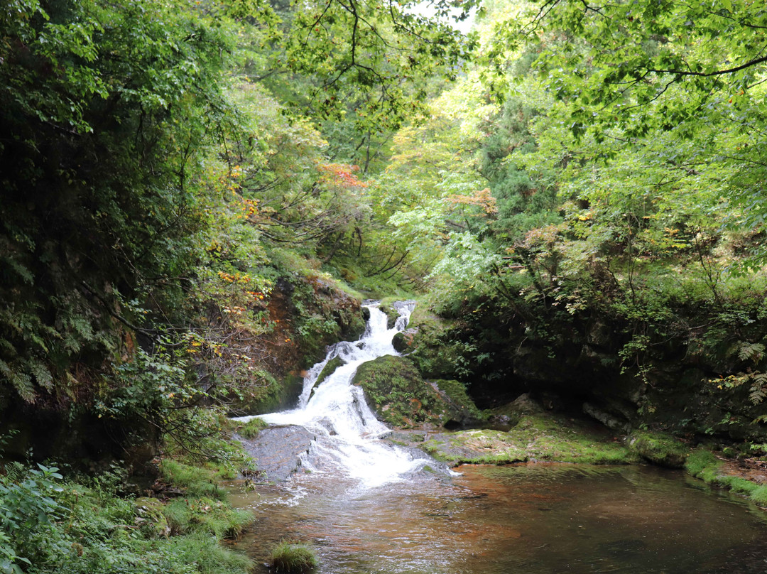 Shirogane Park-尾花泽市必去景点