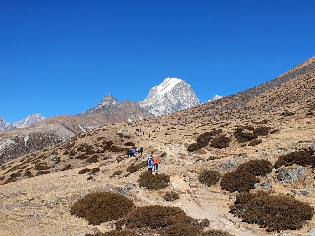 Himalayan Trekking & Tours景点图片