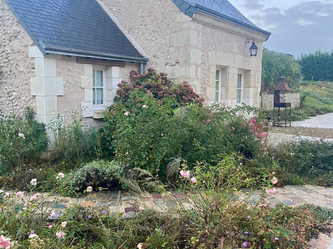 La Chambre Des Dames主图