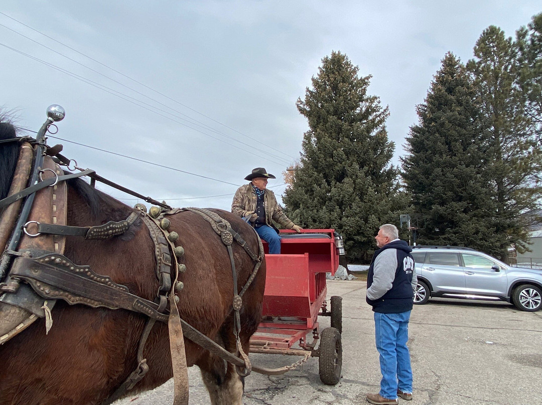 Thurston Farms-Morgan必去景点