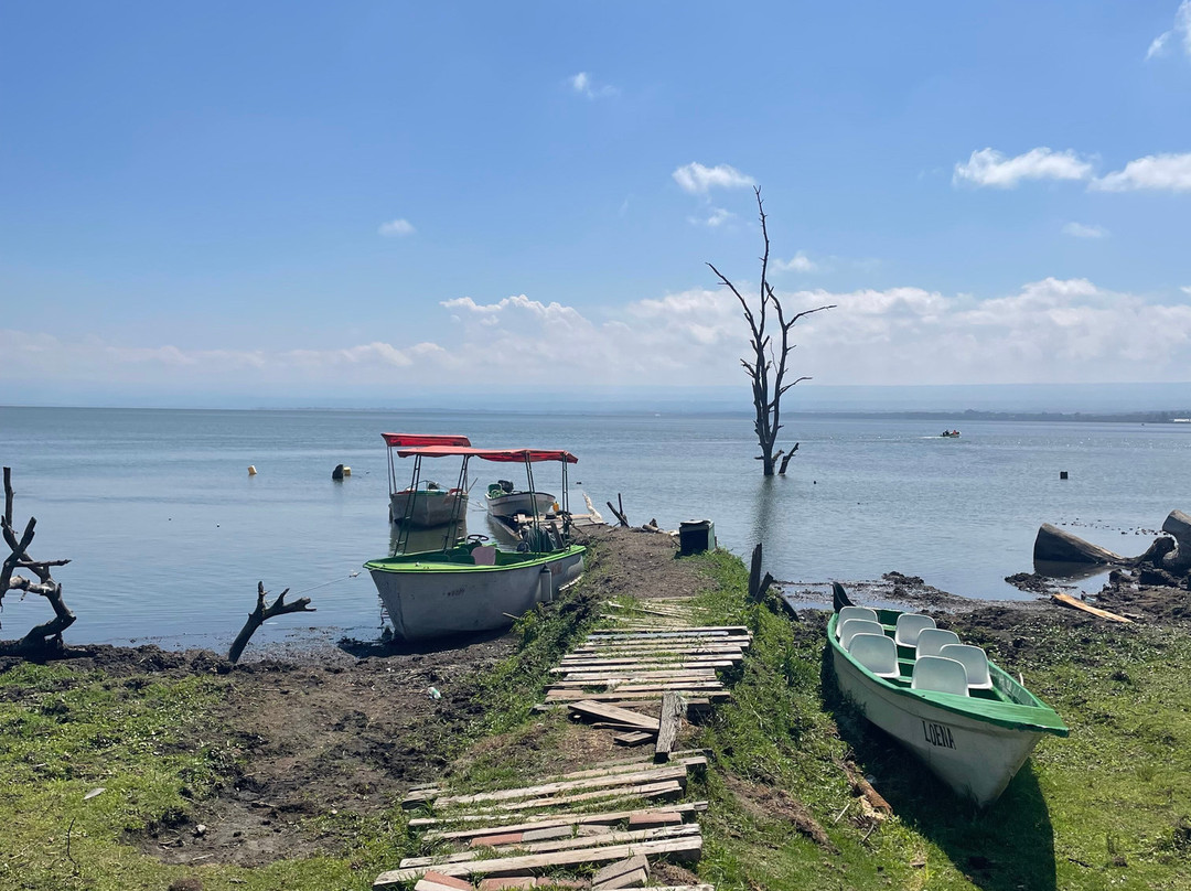 Safari And Trekking Africa-阿鲁沙必去景点