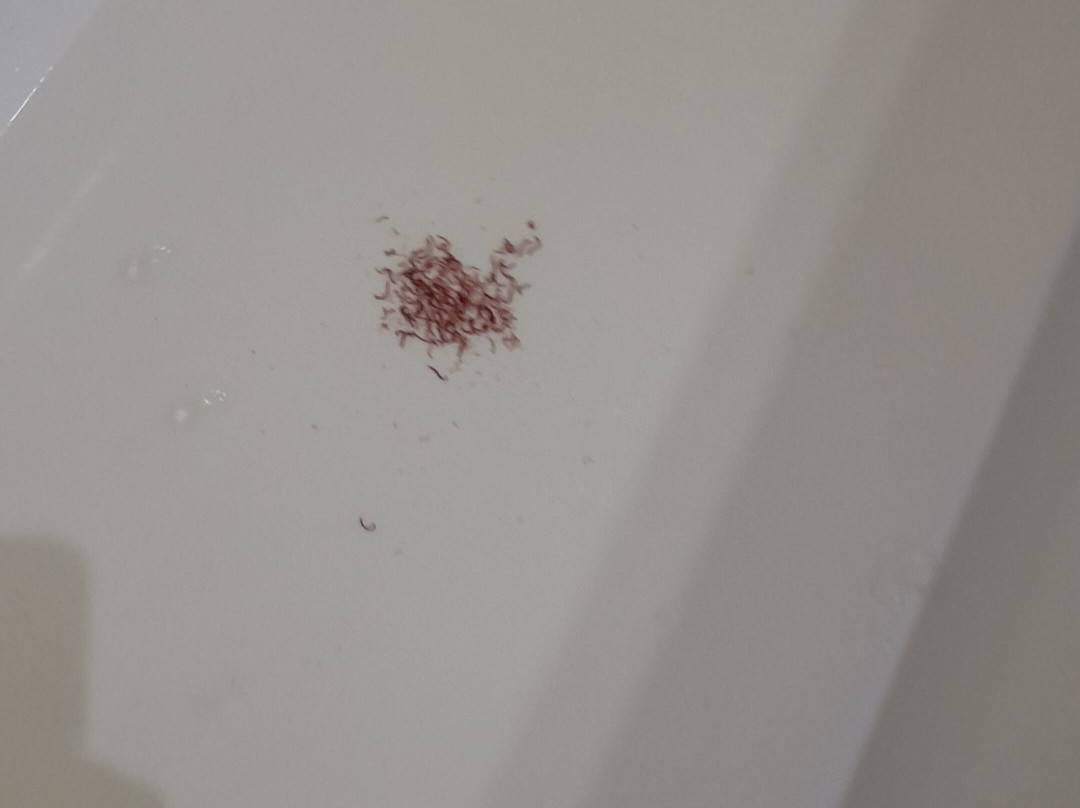 Apart Hotel Paucam主图