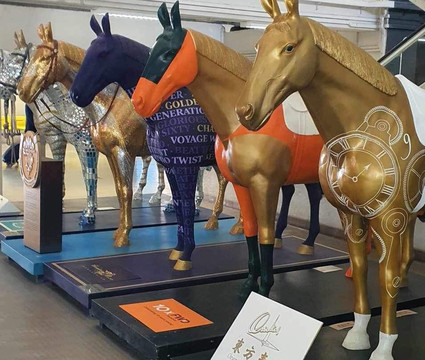 Shatin Racecourse Experience-香港必去景点