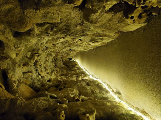 Ó Turista! Tours and Trips-里斯本必去景点