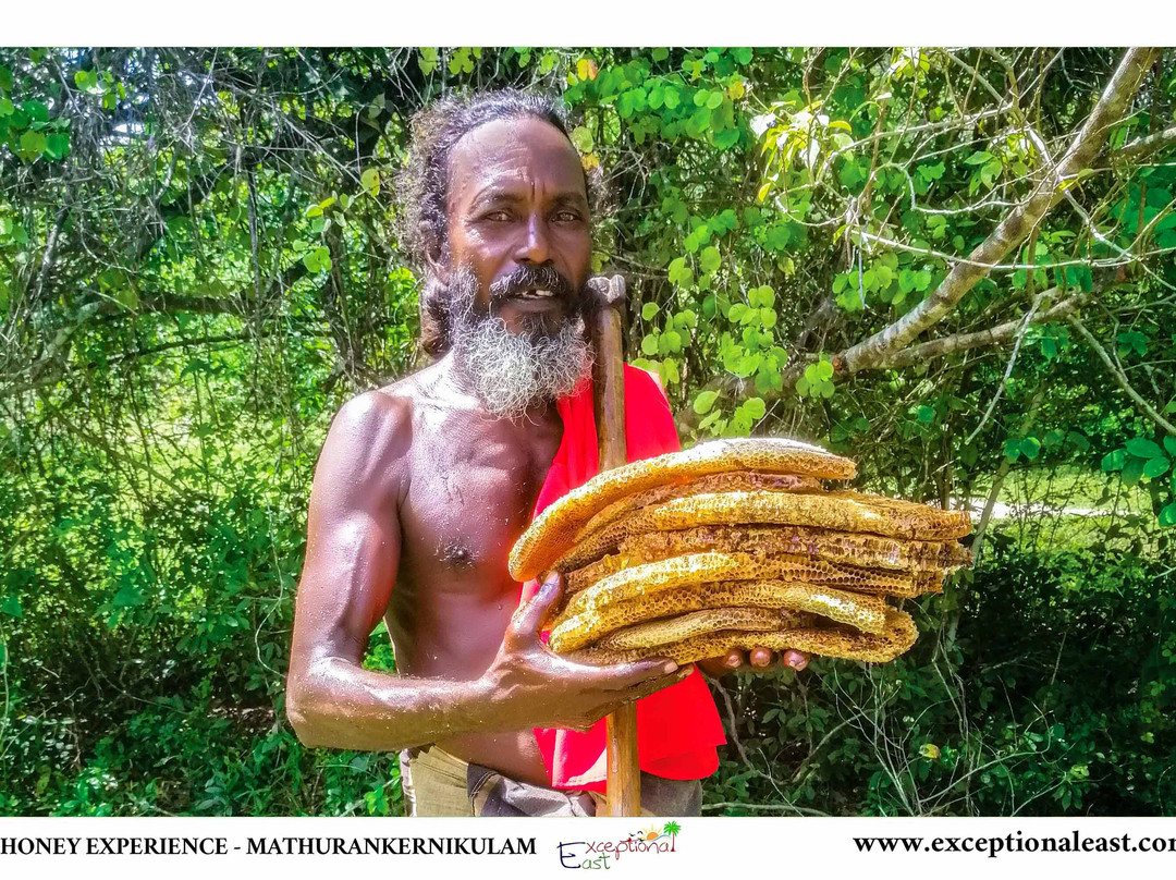 Veddas Culture Center-拜蒂克洛必去景点