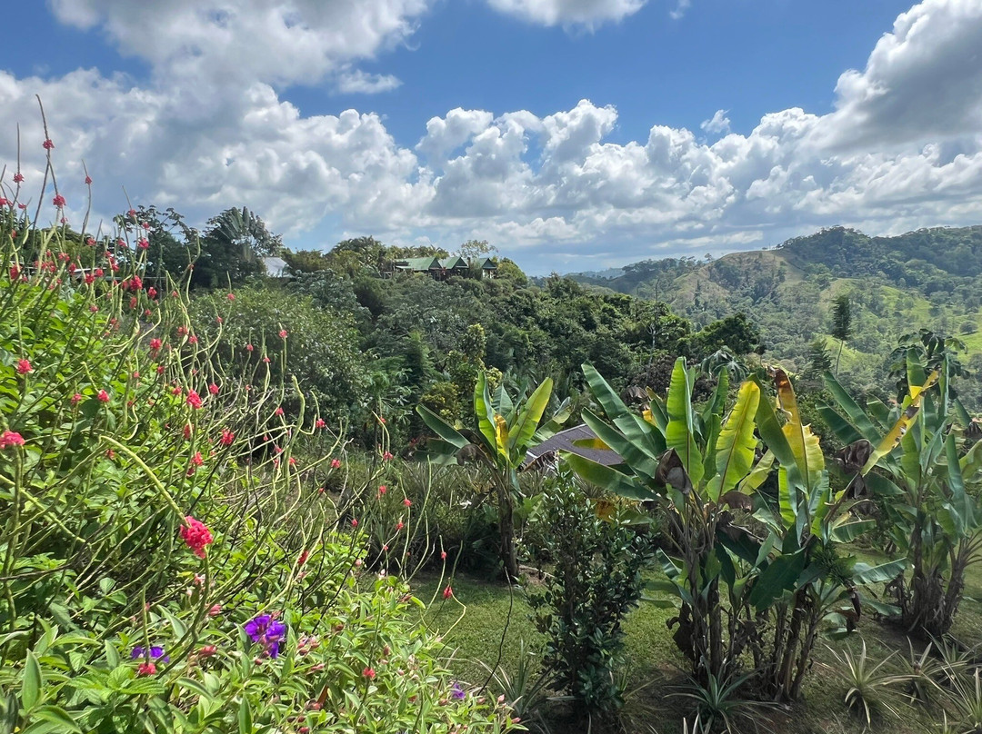 Finca La Puesta Del Sol主图