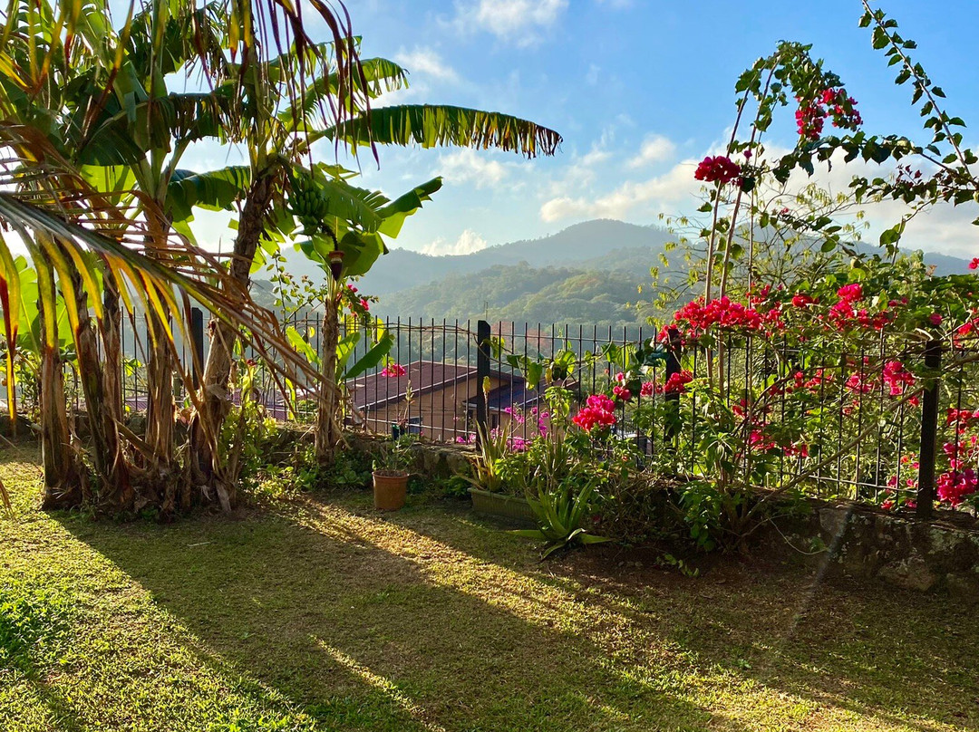 Casa Amanecer Bed & Breakfast主图