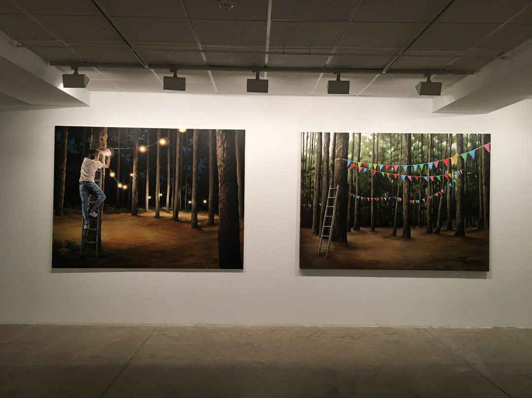 Centro de Arte Juan Ismael景点图片