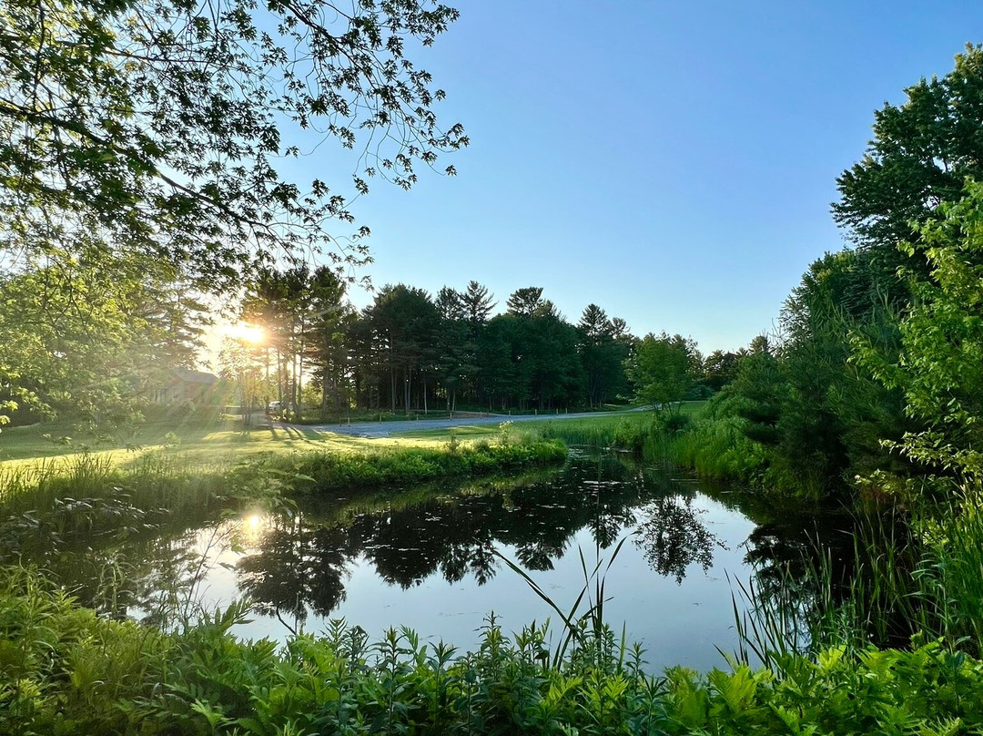 Forêt de la Seconde Vie-Sainte-Sophie必去景点