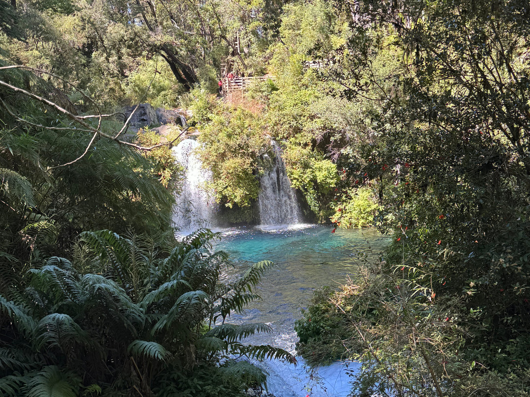 Parque Ojos del Caburgua-普孔必去景点