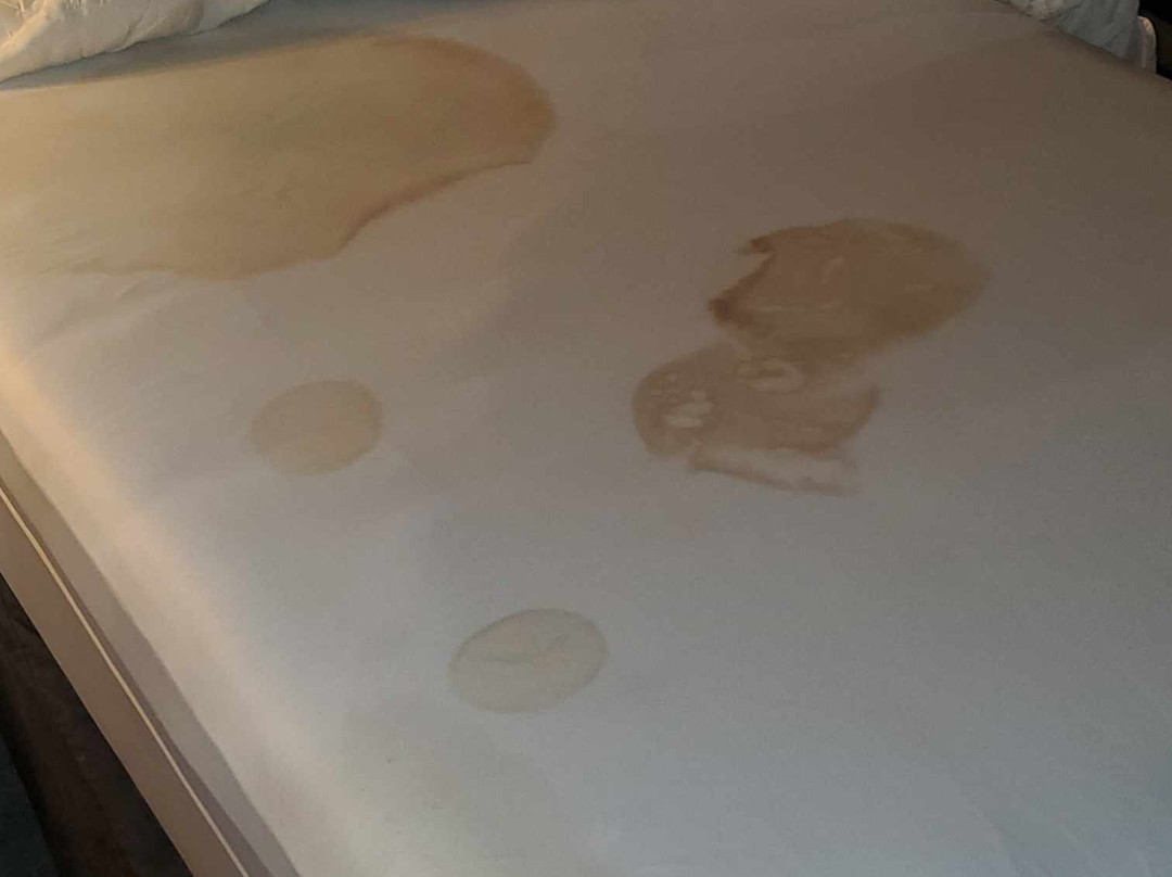 Days Inn & Suites by Wyndham Sulphur Springs主图