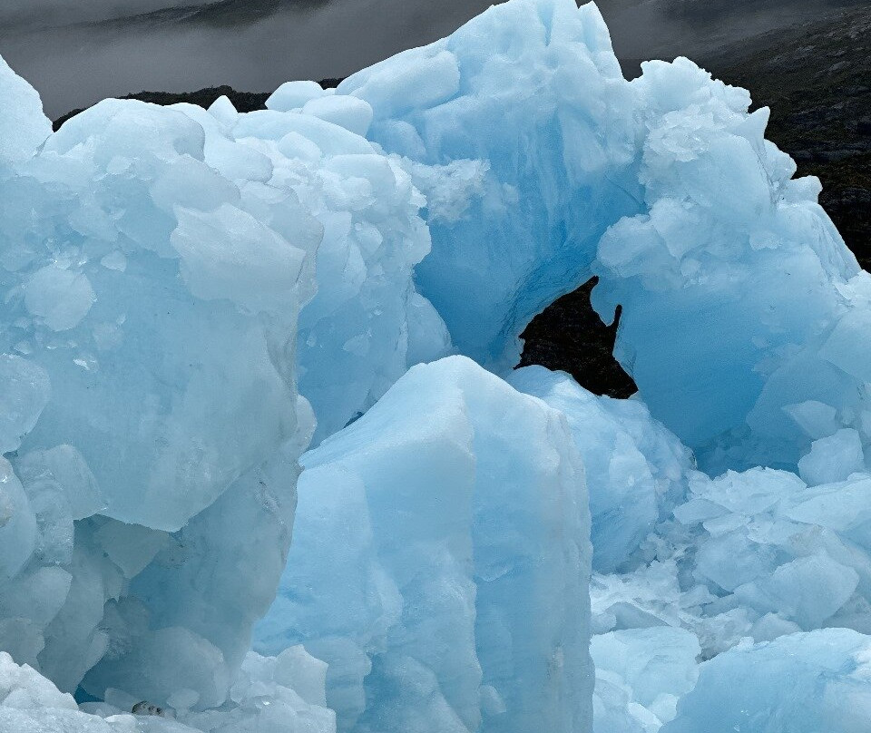 Canales Australes-Tortel必去景点