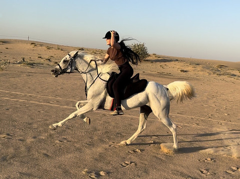 Dubai Desert Horse Ride Experience-迪拜必去景点