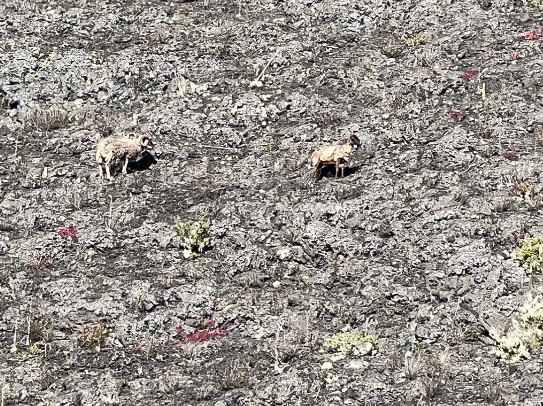 华拉来山-凯鲁瓦-柯纳必去景点