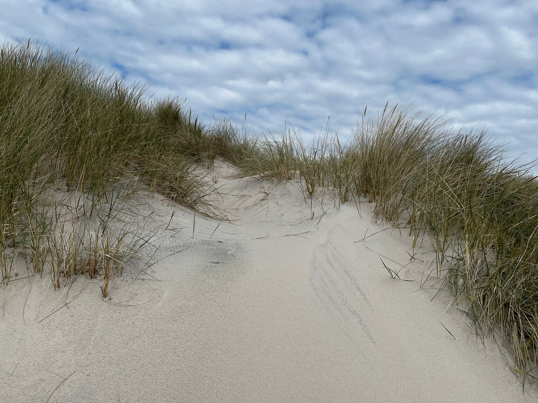Sandhammarens Strand-Loderup必去景点
