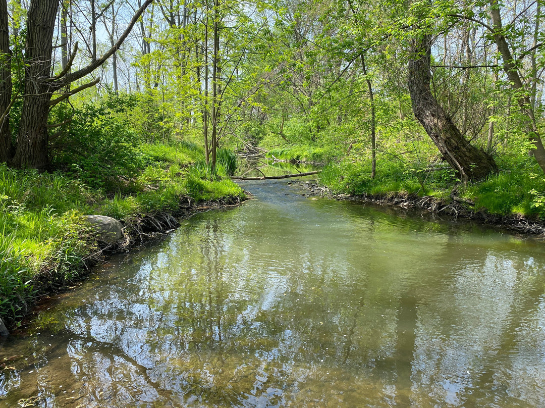 Applewood Hollow Bed and Breakfast主图