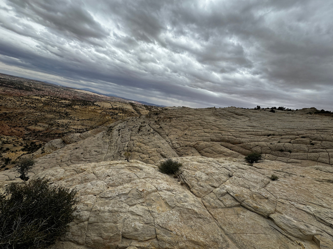 Utah Slickrock Guides-Boulder必去景点
