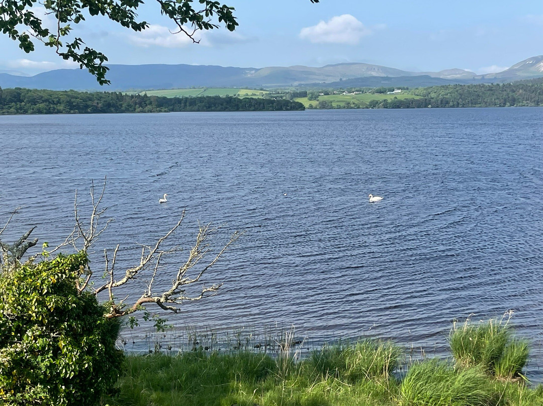 Sligo Kayak Tours景点图片