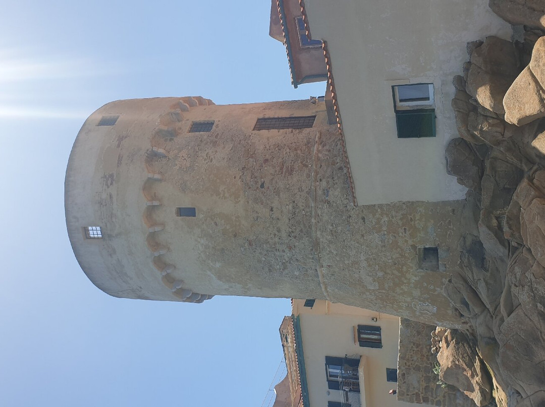Giglio Island-Isola del Giglio必去景点