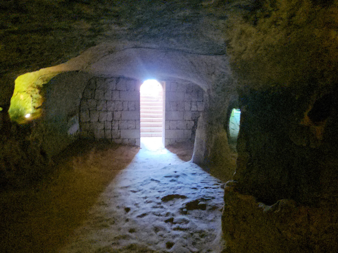 Neopolis Travel-库萨达斯必去景点