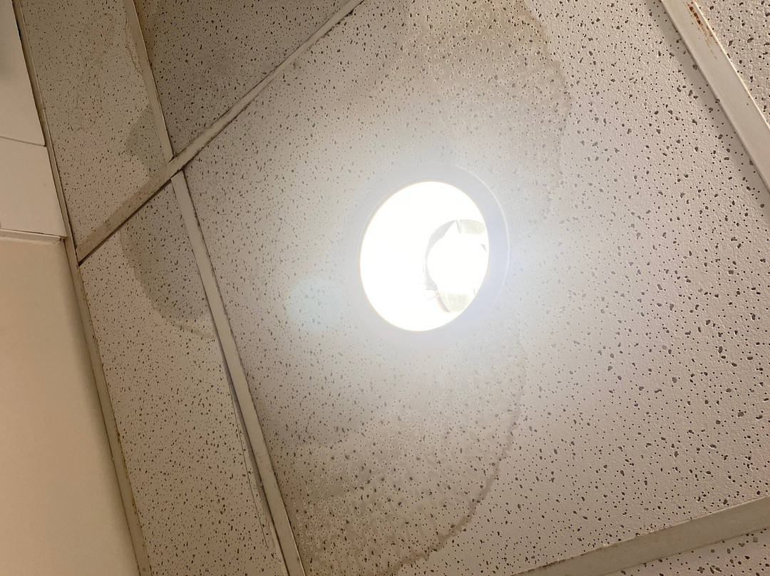 The Shore Club主图