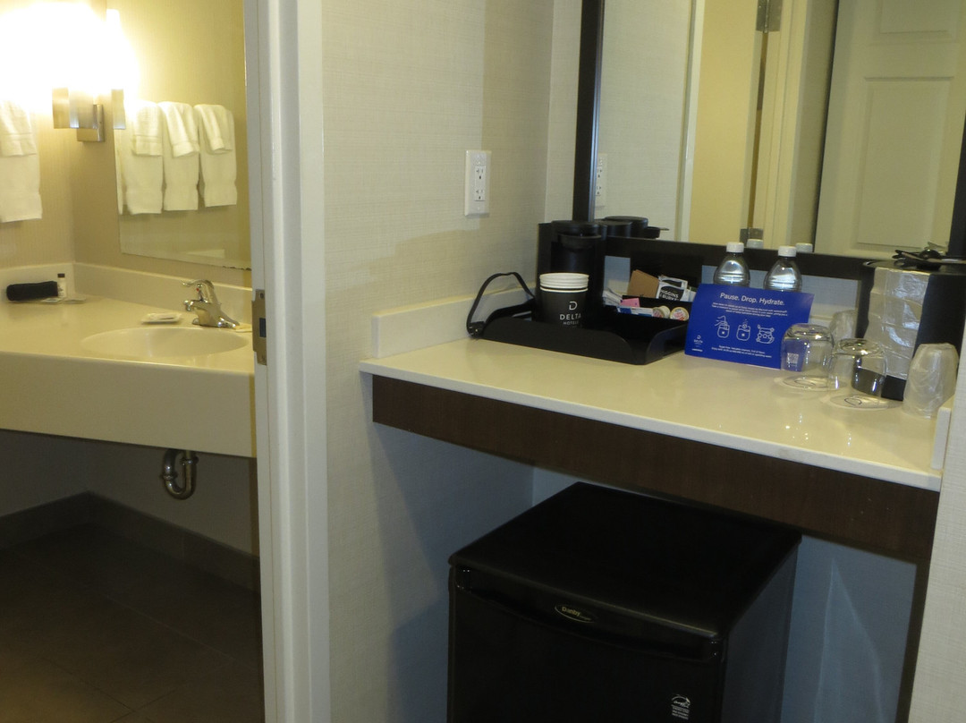 布伦瑞克三角洲酒店主图