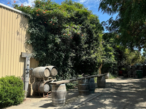 Nonini Winery-弗雷斯诺必去景点