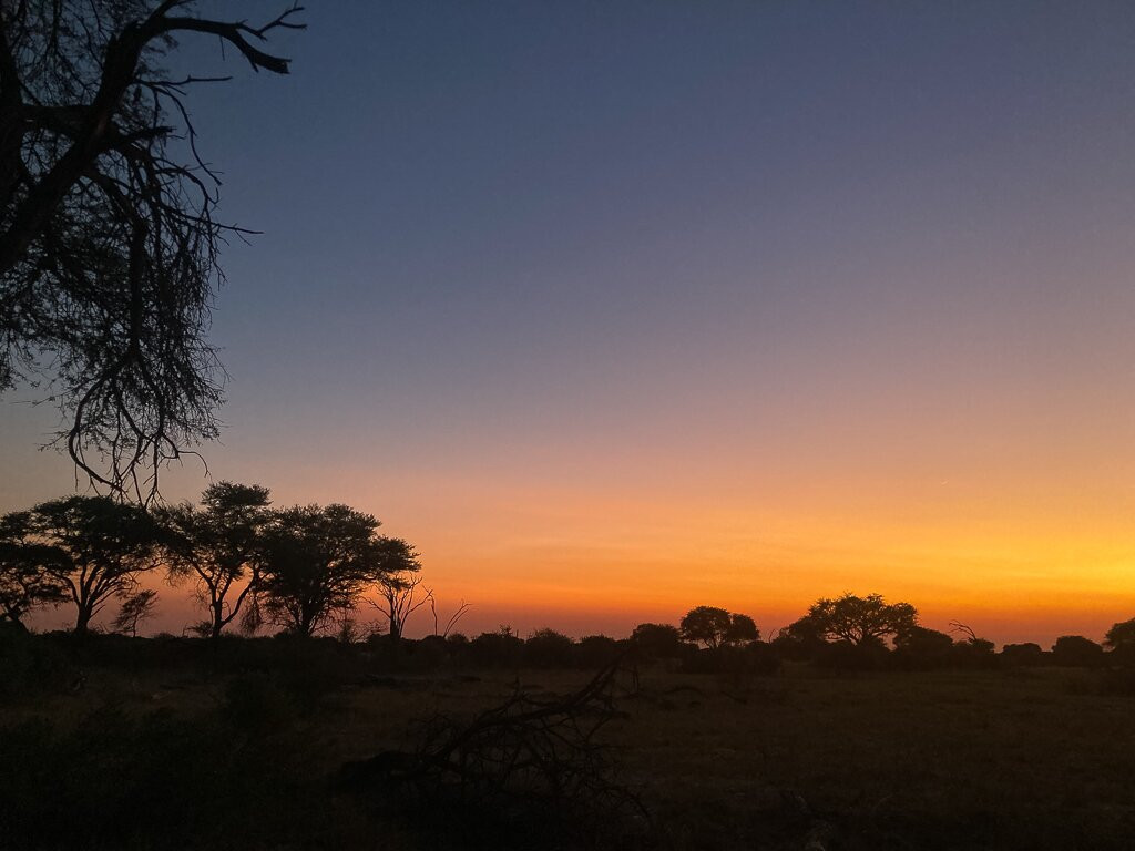 Hwange National Park景点图片