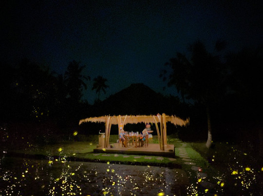 Bali Firefly Night Tour-Tegallalang必去景点