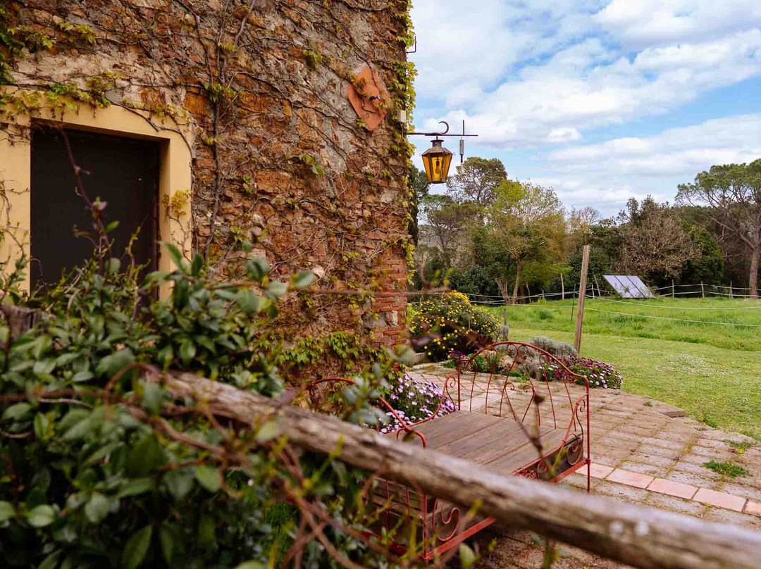 Agriturismo Bio Fattoria Di Pietra主图