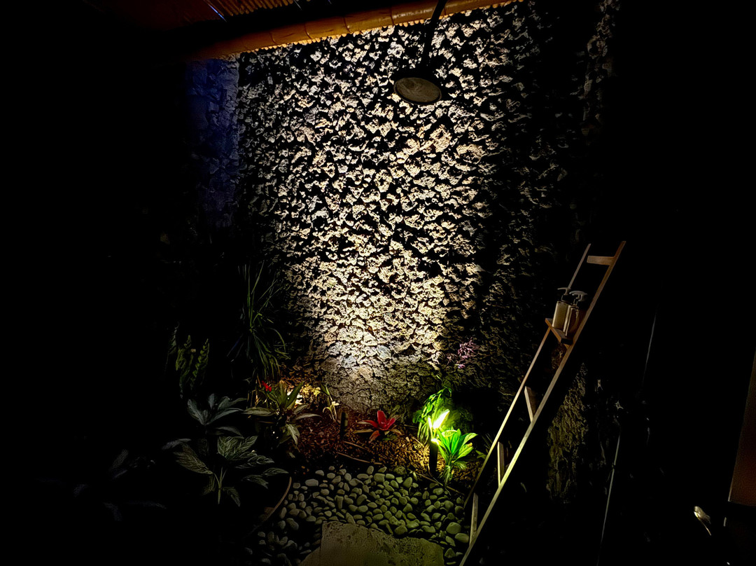 华拉莱四季度假村主图