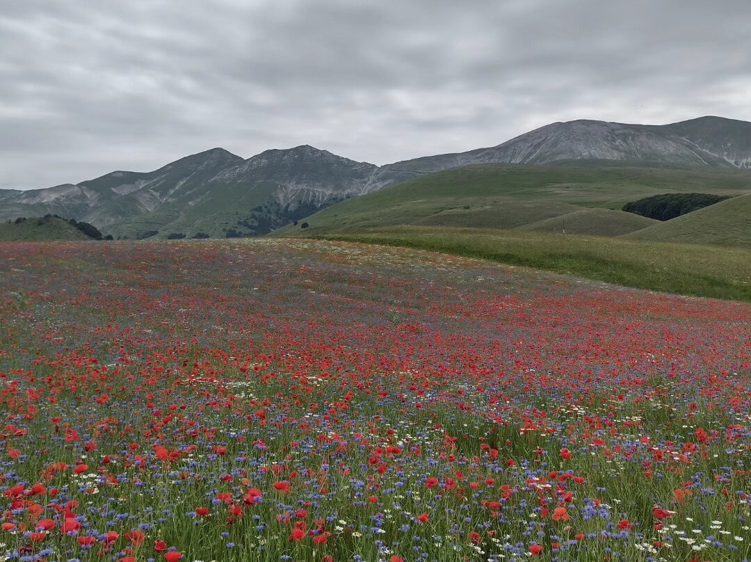 Castelluccio-翁布里亚必去景点