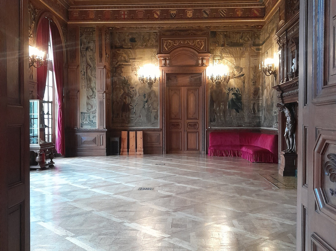 维艾萨克塞尔城堡酒店主图