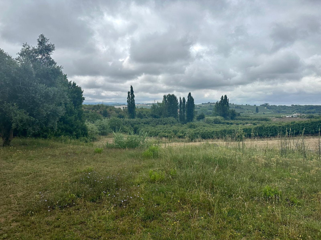 Cyclin Rio-奥比都斯必去景点