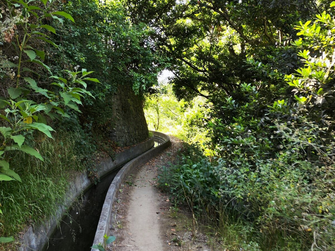 Levada Norte-Camara De Lobos必去景点