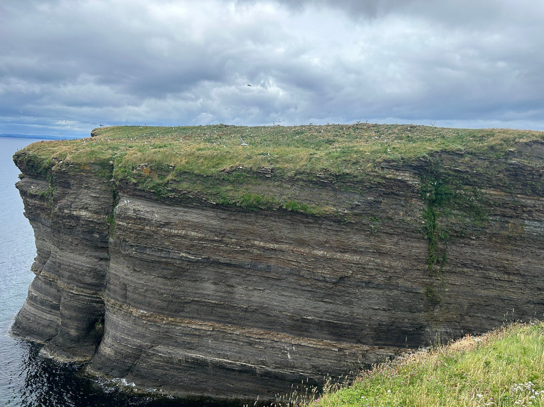 Bell Island Natural Walking Trails景点图片