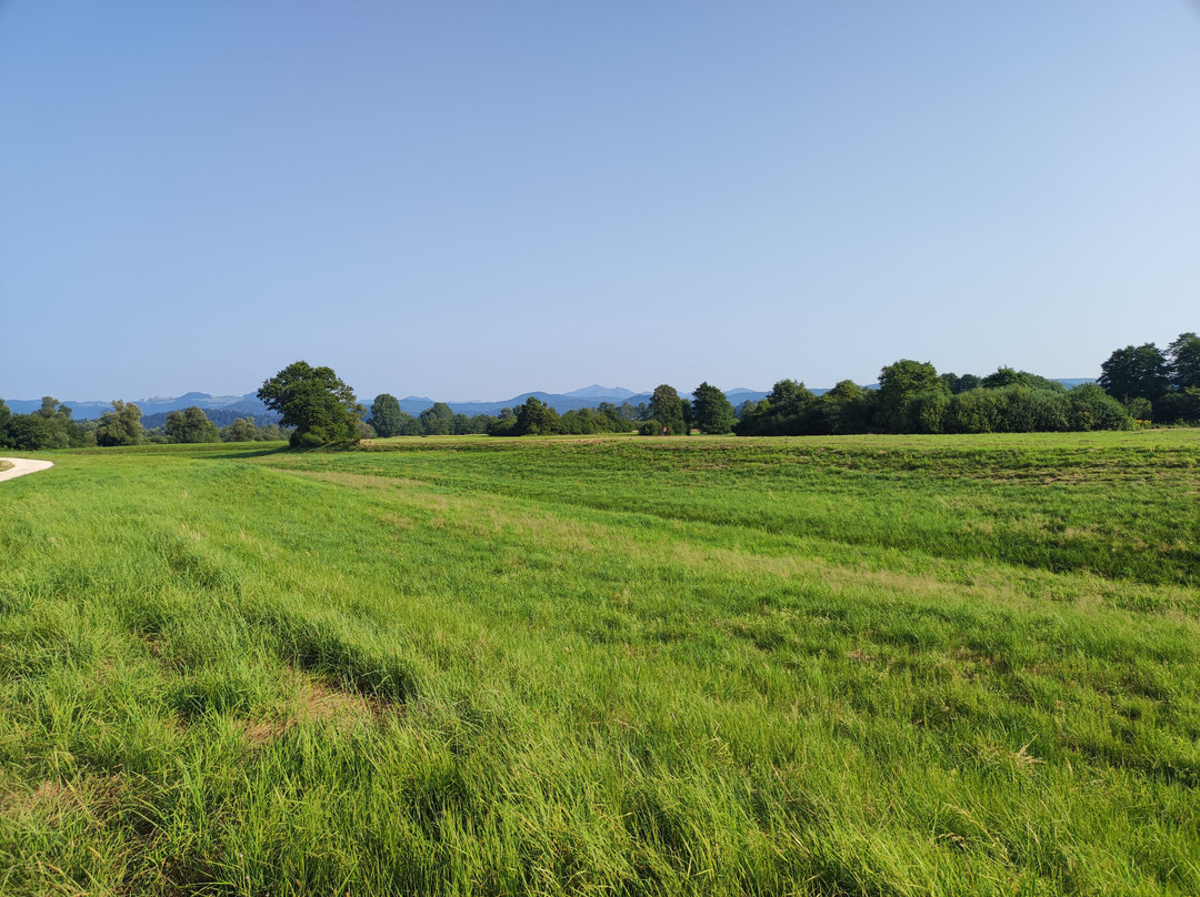 The Former Ljubljanica River Bed-Preserje必去景点