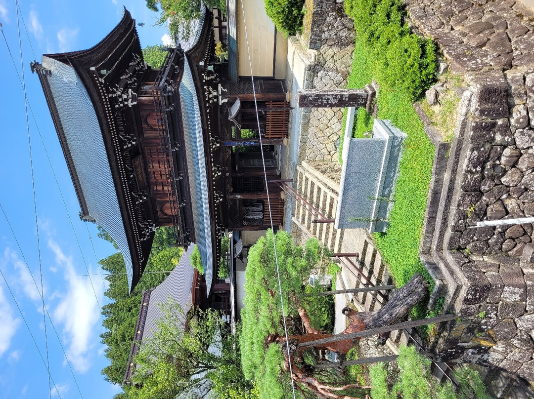 东山游步道-高山市必去景点