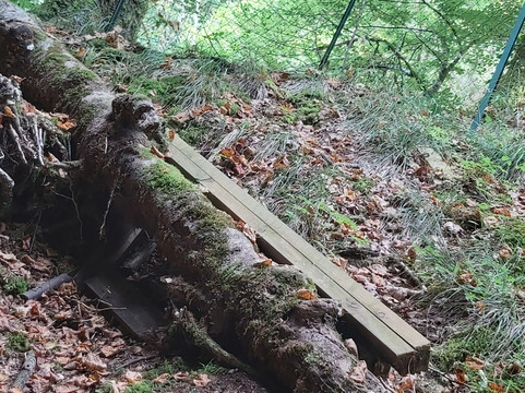 Gorges de la Jordanne-Saint-Cirgues-de-Jordanne必去景点